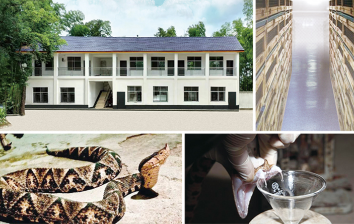 ·Ç·²¹ú¼Ê(ÖйúÇø)-¹Ù·½ÍøÕ¾